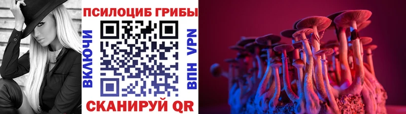 Галлюциногенные грибы Cubensis что такое Белёв